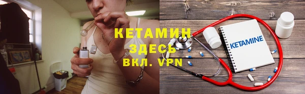 прущие грибы Богданович