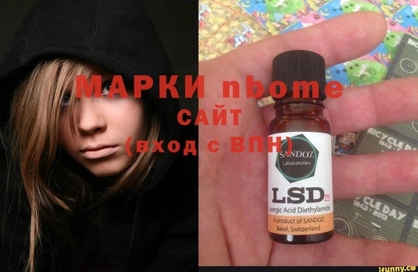 прущие грибы Богданович