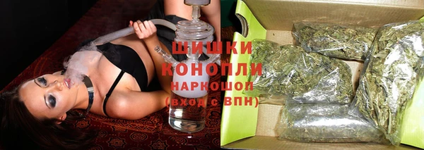 прущие грибы Богданович