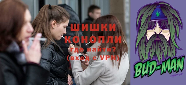 прущие грибы Богданович