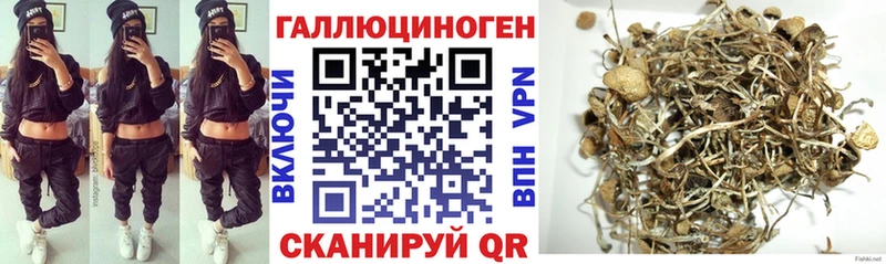 Галлюциногенные грибы GOLDEN TEACHER  Купить  Лыткарино 